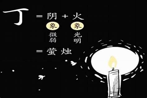 丁火日元|天干专论丁火